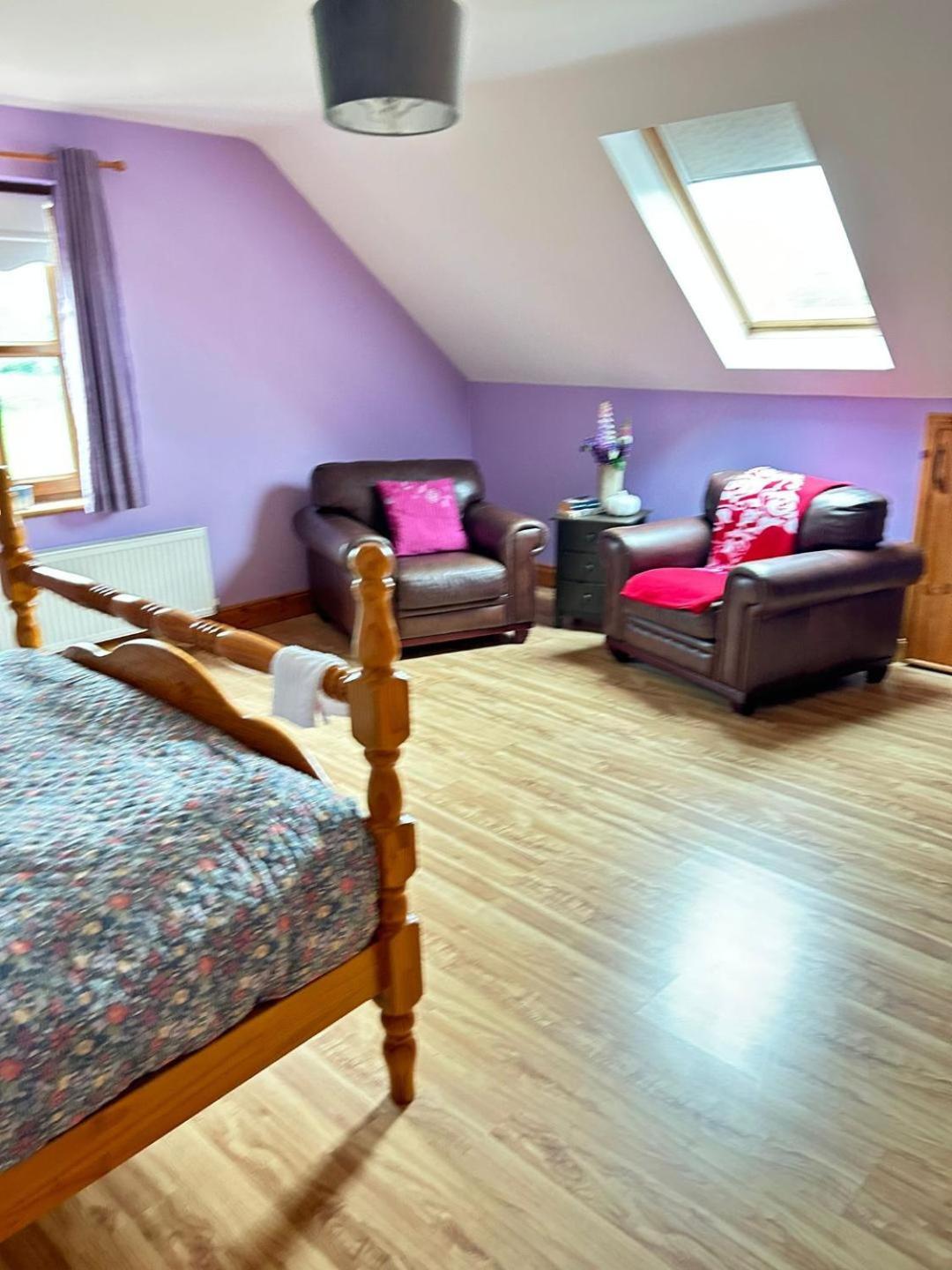 Ballytigue House Clarecastle Luaran gambar